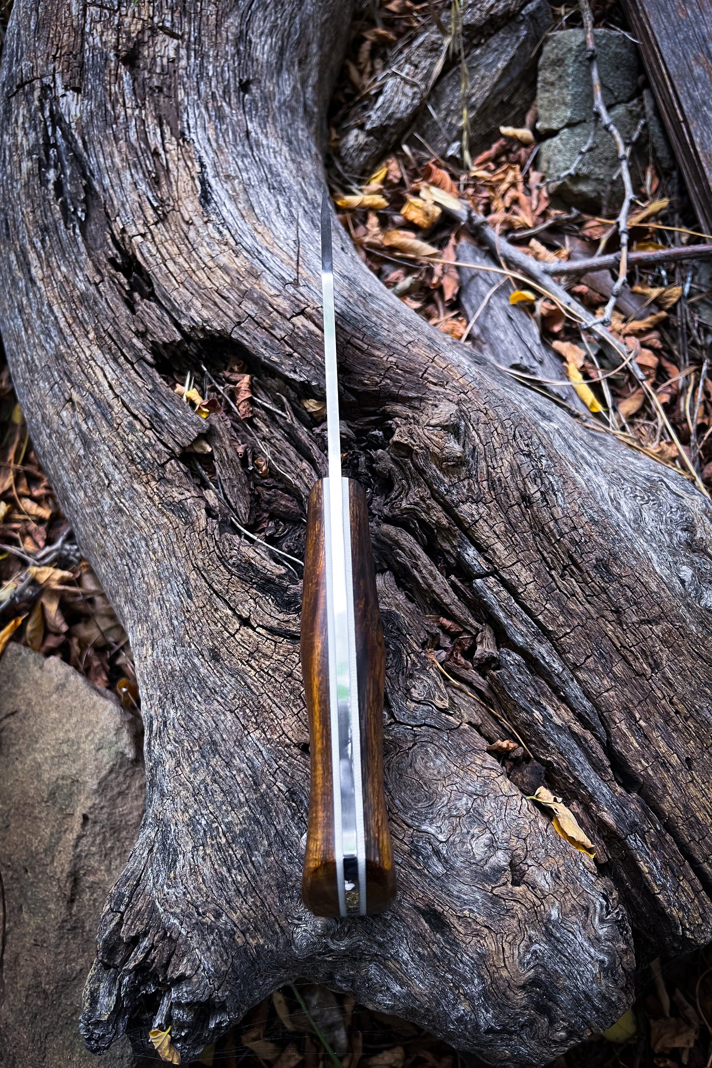 
                  
                    Woodsmuk (Desert Ironwood)
                  
                