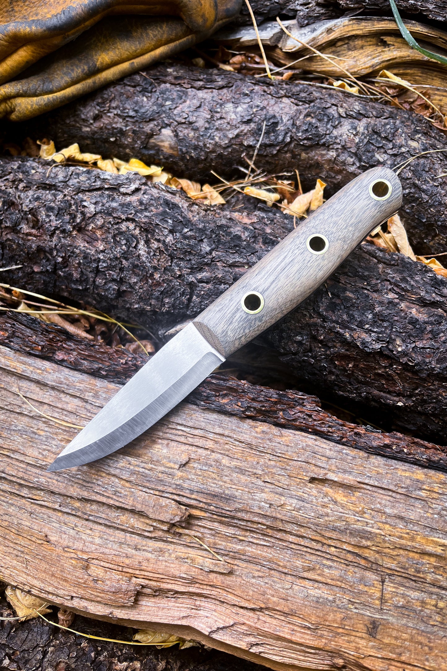 
                  
                    Timberwolf (Walnut)
                  
                