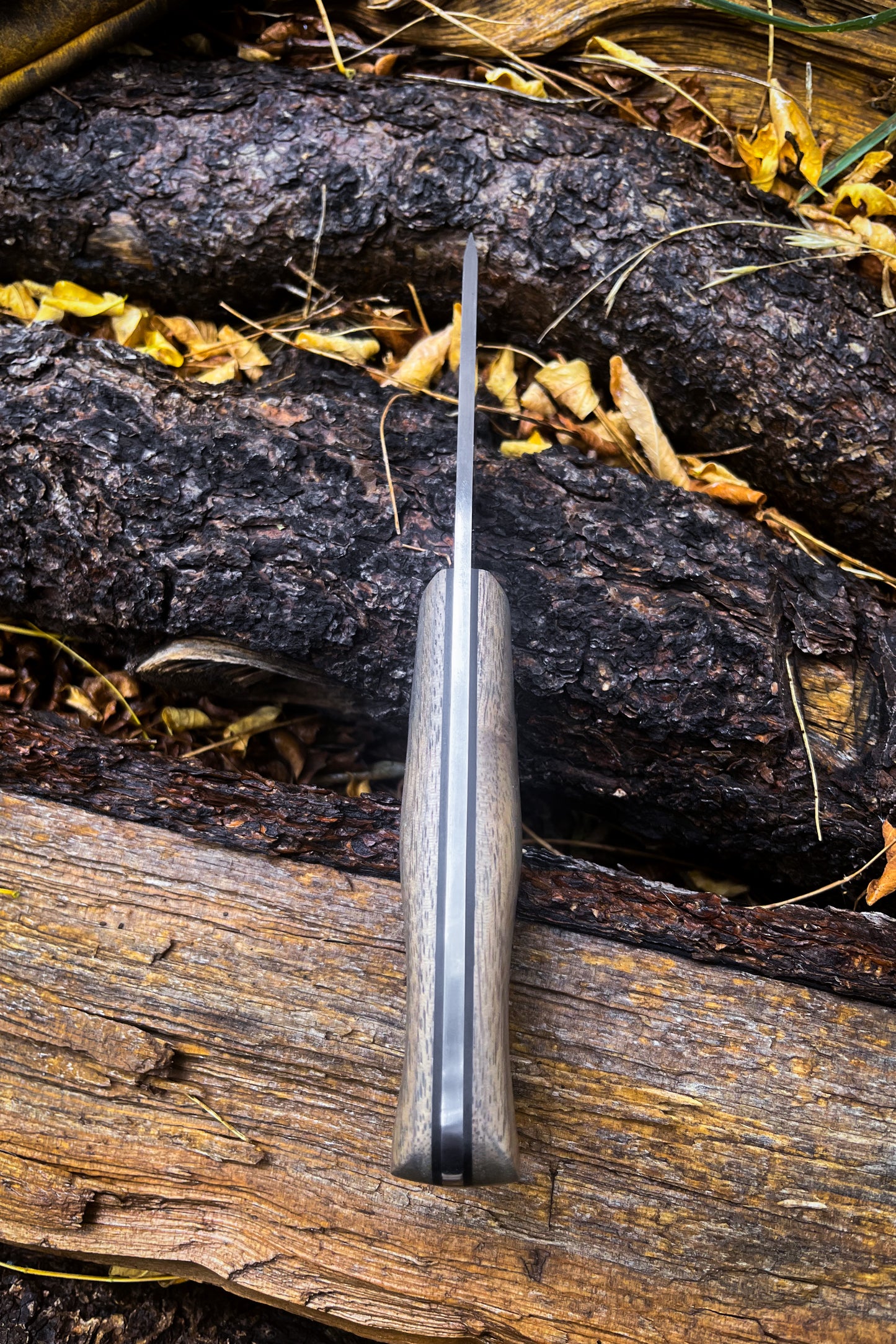 
                  
                    Timberwolf (Walnut)
                  
                