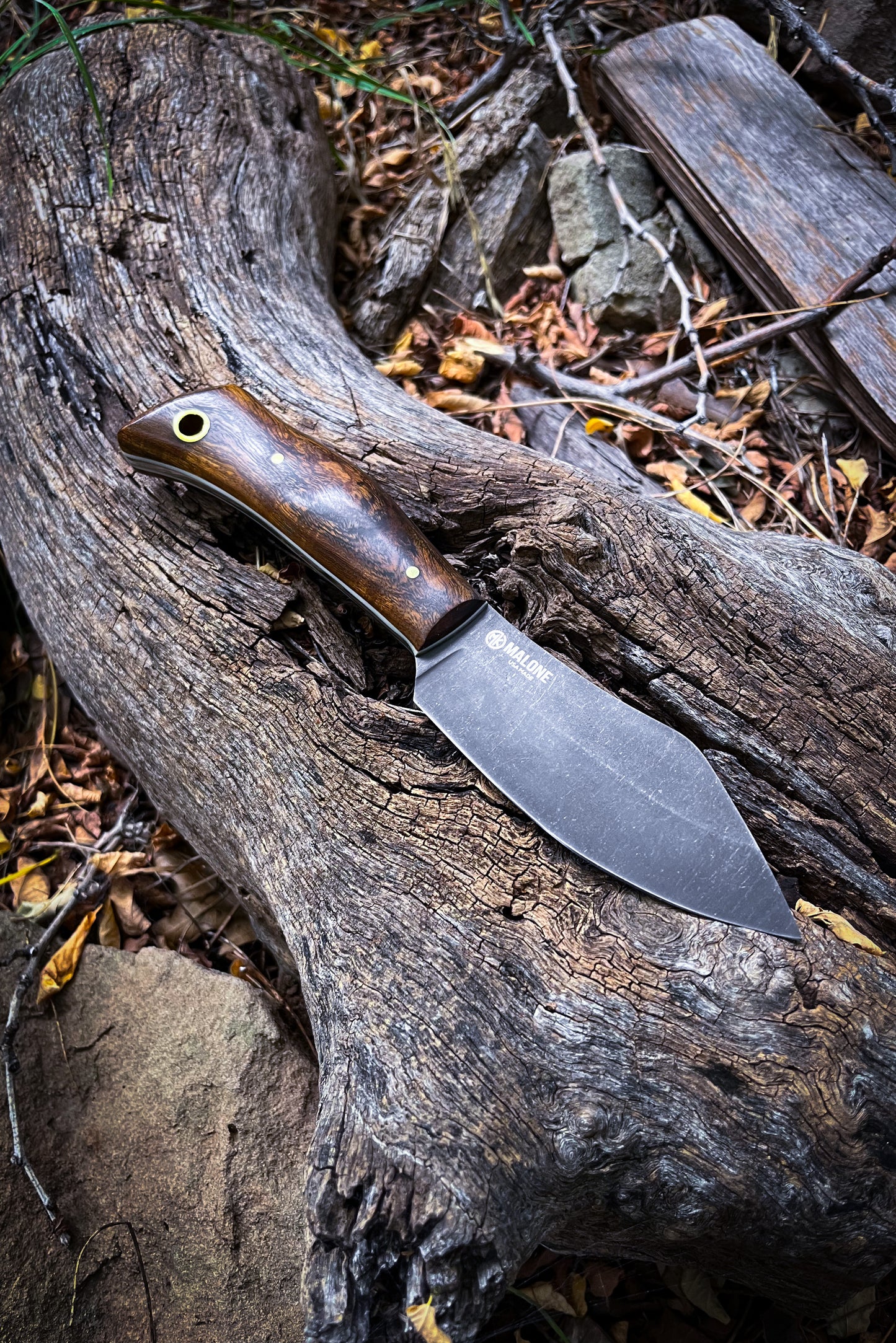 
                  
                    Woodsmuk (Desert Ironwood)
                  
                