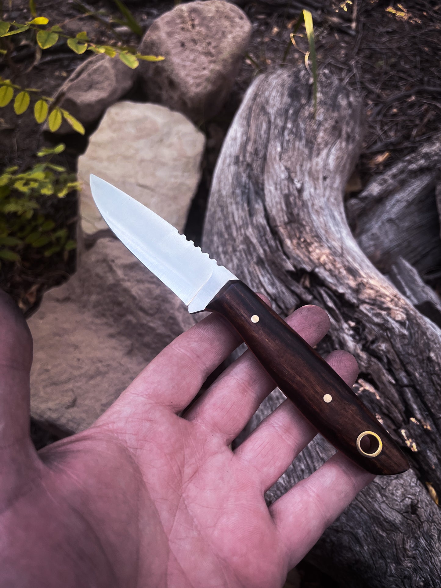 
                  
                    . Backlander Bird & Trout Knife
                  
                